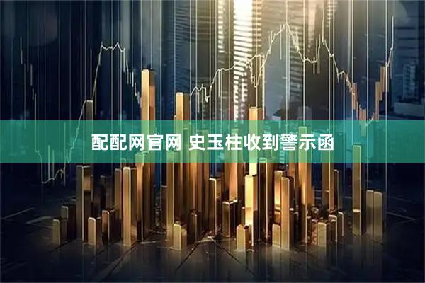 配配网官网 史玉柱收到警示函