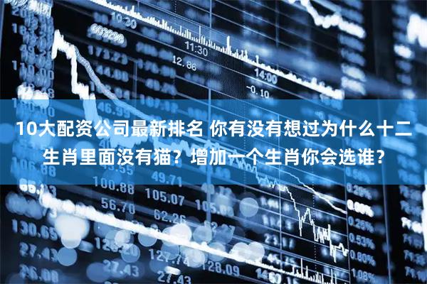 10大配资公司最新排名 你有没有想过为什么十二生肖里面没有猫？增加一个生肖你会选谁？